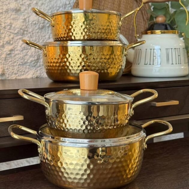 قدر متعدد الاستخدامات من الفولاذ المقاوم للصدأ